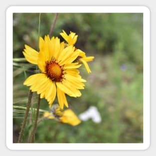 yellow flowers Sticker